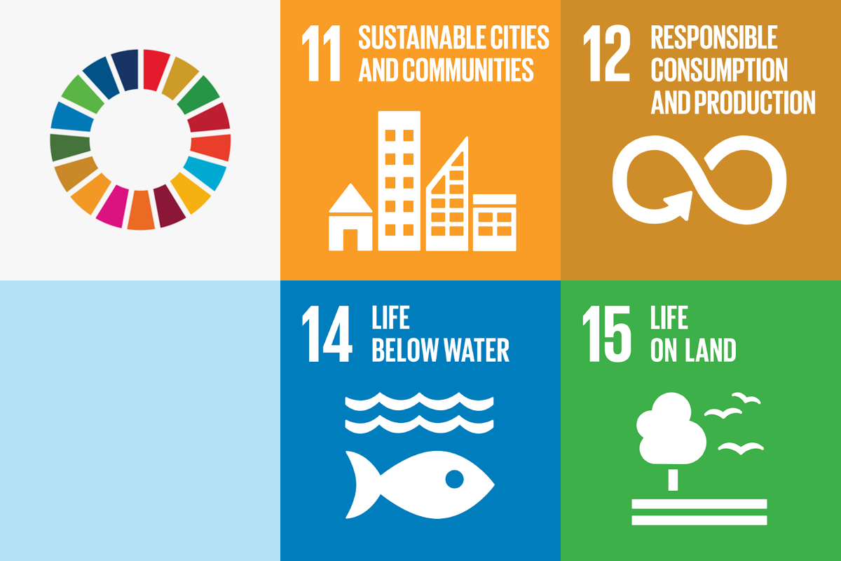 UN-SDG-goals-pfj Graphic with four of the United Nations Sustainable Development Goals: Sustainable Cities and Communities, Responsible Consumption and Production, Life Below water and Life on Land.